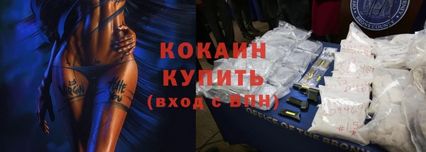 гидра Богданович