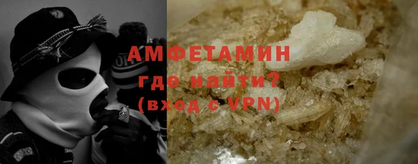 гидра Богданович