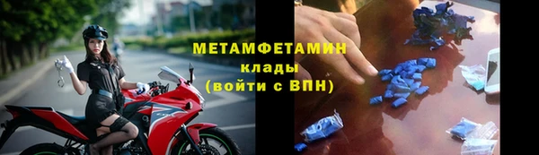 гидра Богданович