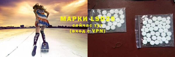 стаф Бородино