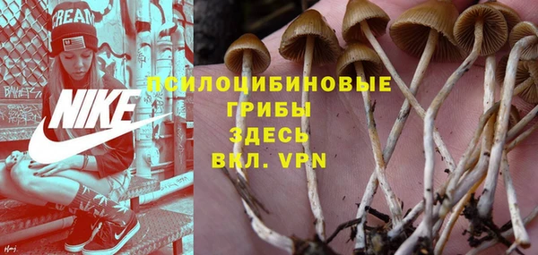 трава Богородицк