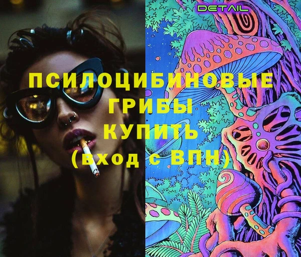 гидра Богданович