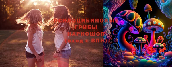 гидропоника Бронницы