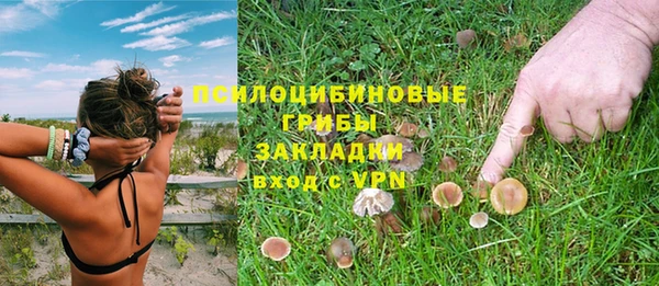 ешки Бугульма
