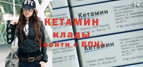 стаф Бородино