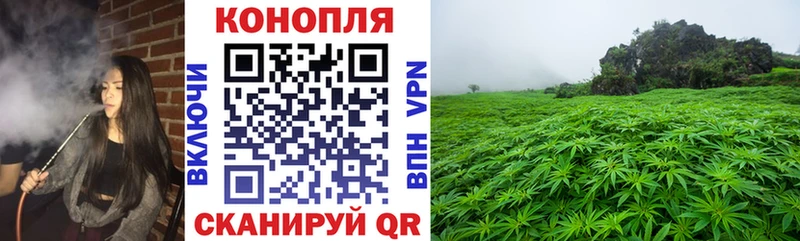 Шишки марихуана индика Вятские Поляны